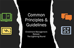common principles and guidelines